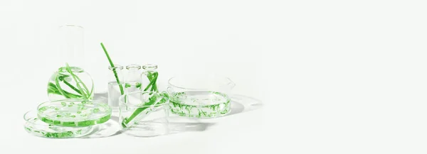 有机化妆品 天然化妆品 生物燃料 天然绿色实验室 浅色背景下装有绿色植物的实验室玻璃器皿和容器 — 图库照片