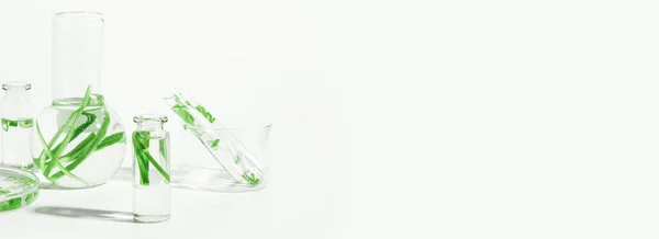 Biologische Cosmetica Natuurlijke Cosmetica Biobrandstoffen Algen Natuurlijk Groen Laboratorium Experimenten — Stockfoto