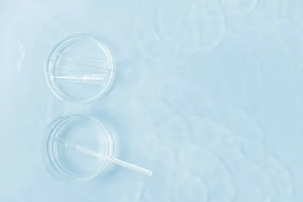 Utensílios Laboratório Água Vista Superior Placas Petri Tubos Ensaio Cor — Fotografia de Stock