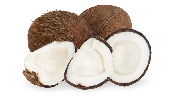 白い背景にココナッツとココナッツのセット — ストック写真
