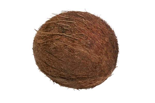 Een Hele Verse Kokosnoot Zijn Schelp Een Witte Achtergrond — Stockfoto
