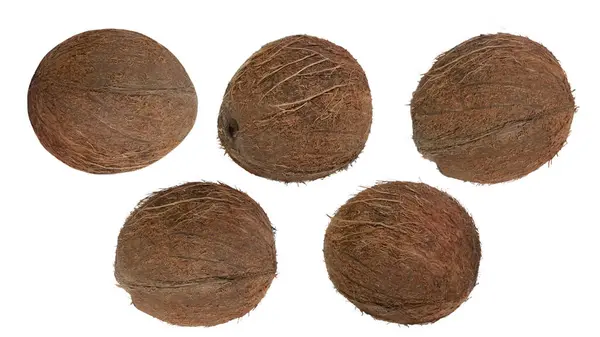 Een Set Hele Kokosnoten Een Witte Achtergrond — Stockfoto