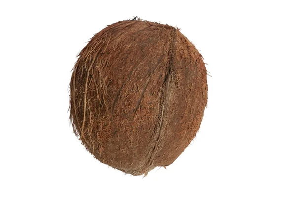 Een Hele Verse Kokosnoot Zijn Schelp Een Witte Achtergrond — Stockfoto
