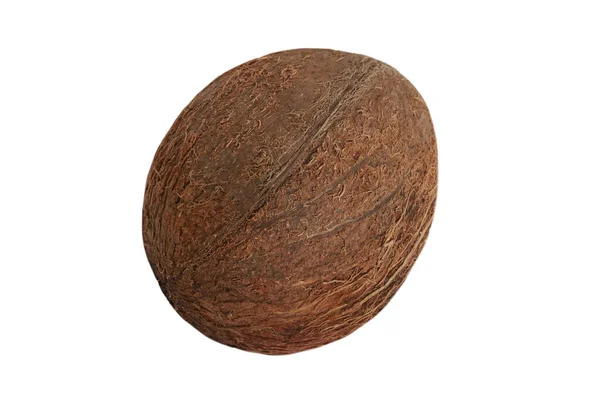 배경에 껍질에 히새로운 코코넛 — 스톡 사진