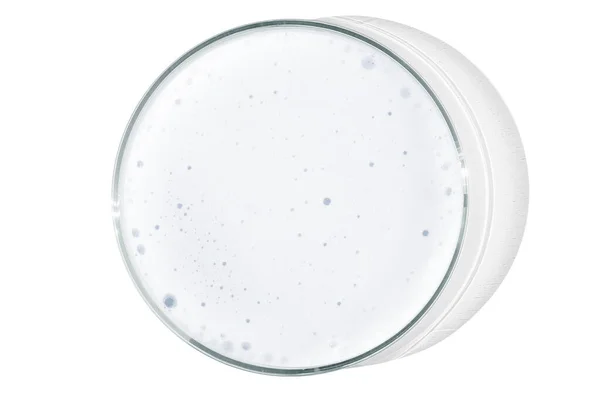 Placa Petri Isolada Fundo Vazio Espuma Branca Uma Placa Petri — Fotografia de Stock
