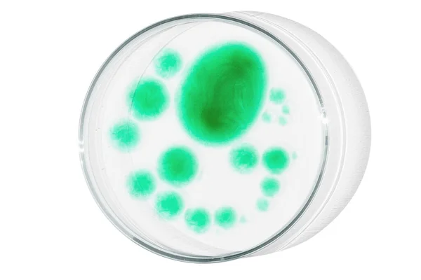 Petri Edény Üres Háttérrel Zöld Cseppek Csíkok Baktériumok Molekulák Petri — Stock Fotó