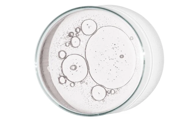 Petri Dish Isolated Empty Background Drops Stains Bacteria Molecules Petri — Stock Photo, Image