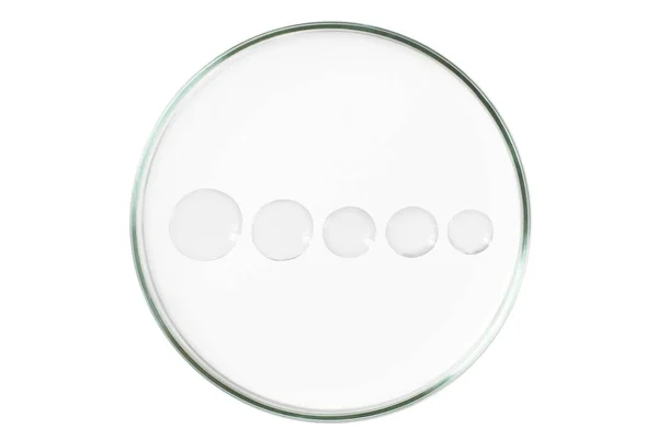 Πιάτο Petri Απομονωμένο Κενό Φόντο Λάσπη Διαφανούς Γέλης Ορού Τρυβλίο — Φωτογραφία Αρχείου