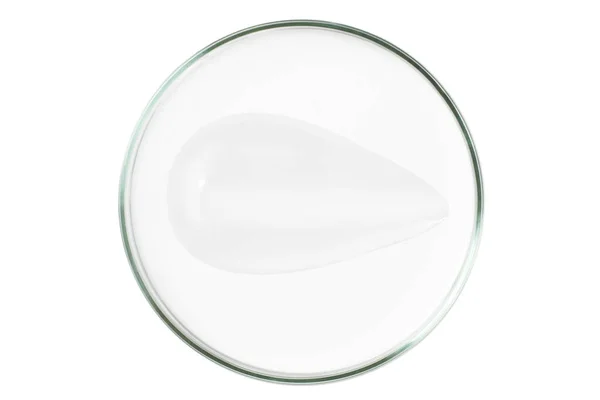 空の背景に隔離されたペトリ皿 ペトリ皿の化粧品クリームのスミア — ストック写真