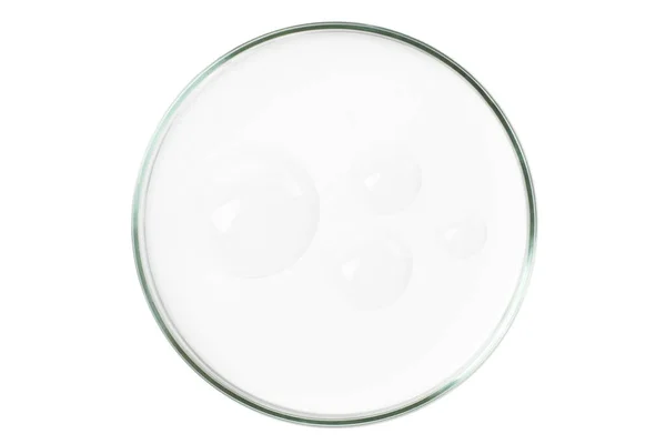 空の背景に隔離されたペトリ皿 透明なゲルのスミア ペトリ皿の血清 — ストック写真