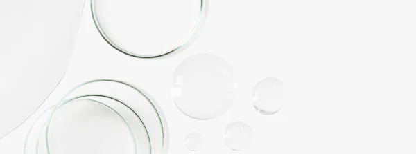 Petri kapları, mataralar, test tüpleri. Hafif bir arkaplanda. Damlalar ve şeffaf jel lekeleri. Laboratuvar. Pankart. Reklam için boş alan