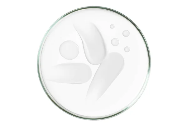 Cawan Petri Diisolasi Dengan Latar Belakang Kosong Sebuah Noda Krim Stok Gambar Bebas Royalti