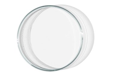 Boş arkaplanda petri kabı izole.