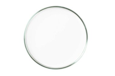 Boş arkaplanda petri kabı izole.