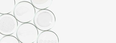 Petri kabı izole edilmiş dikdörtgen pankart. Şeffaf jel izleri, serum. Arkaplanınıza yapıştırılabilir