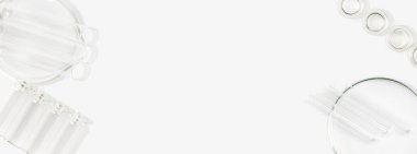 Petri kapları, mataralar, test tüpleri. Hafif bir arkaplanda. Laboratuvar. Pankart. Reklam için boş alan