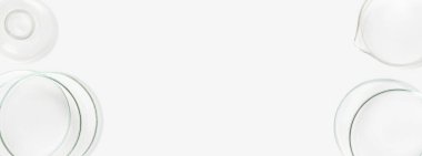 Petri kapları, mataralar, test tüpleri. Hafif bir arkaplanda. Laboratuvar. Pankart. Reklam için boş alan