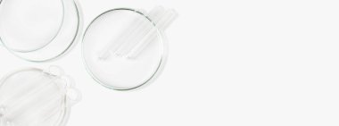 Petri kapları, mataralar, test tüpleri. Hafif bir arkaplanda. Laboratuvar. Pankart. Reklam için boş alan