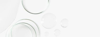 Petri kapları, mataralar, test tüpleri. Hafif bir arkaplanda. Damlalar ve şeffaf jel lekeleri. Laboratuvar. Pankart. Reklam için boş alan