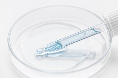 Petri kabı. Mavi ve mavi jöleli kozmetik pipet, serum, hafif arkaplan serumu.