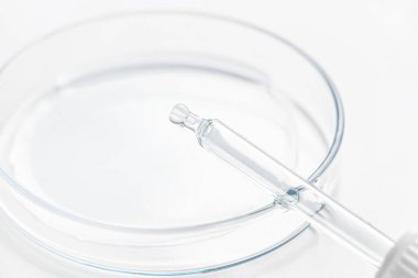 Petri kabı. Mavi ve mavi jöleli kozmetik pipet, serum, hafif arkaplan serumu.