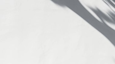 Güzel gölgeleri ve röfleleri olan bir duvar. boş arkaplan Boşluğu kopyala.