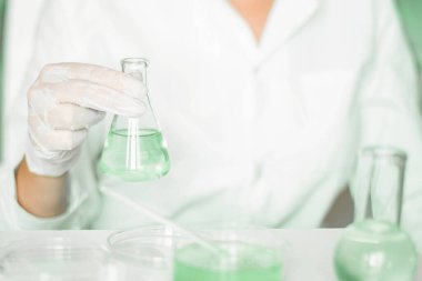 Laboratuvar asistanı laboratuvar atmosferinde manipülasyonlar yapıyor. Laboratuvar önlüğüyle süslenmiş. Dikkat çekici yeşil renk şeması. Cam enstrümanlar kullanarak. Bitki araştırmalarına adanmış yeşil bir laboratuvar..