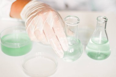 Bilimsel ortam: Laboratuvar asistanı laboratuvar ortamında manipülasyonlar yapıyor. Laboratuvar önlüğü. Yeşilin tonlarını. Cam teçhizat kullanılmış. Yeşil laboratuardaki bitki araştırmalarına odaklanmış..