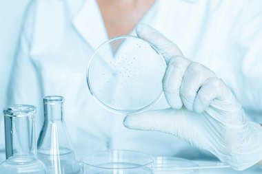 Asistan laboratuvar ortamında Petri kabını dikkatlice manipüle ediyor. Laboratuvar önlüğü giyiyorum. Cam aletler kullanılıyor. Mavi laboratuvar içeriği. Şeffaf sıvıyla yapılan araştırmalara dahil olmuş..
