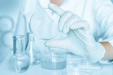 Laboratuvar ayarları: Asistan laboratuvar ortamında Petri kabıyla manipülasyonlar yapar. Laboratuvar önlüğü giyiyordu. Cam teçhizatı kullanılıyor. Mavi bir labaratuvarda. Şeffaf sıvıyla araştırma yapıyor..