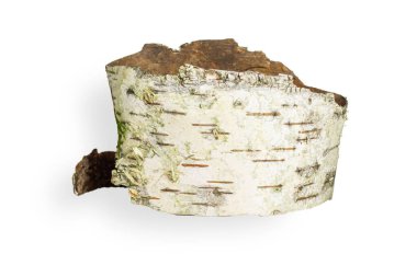 Birch kabuğu çok güzel şekillenmiş. Boş bir arkaplanda. 