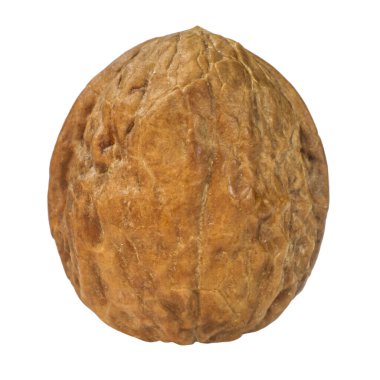 Ceviz. Alanın derinliği. İzole edilmiş. Boş bir arkaplanda.