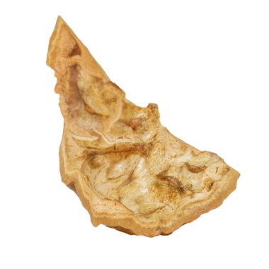 Ceviz kabuğu. Alanın derinliği. İzole edilmiş. Boş bir arkaplanda.