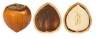 Kit. Fındık. Deniz kabuğu. Tsulye, çekirdek ve tahıl. Alanın derinliği. İzole edilmiş. Boş bir arkaplanda.