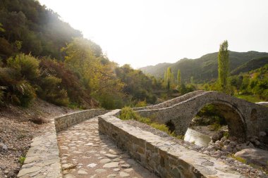 Dağ nehri boyunca büyük taşlarla döşenmiş güzel eğimli bir köprü.