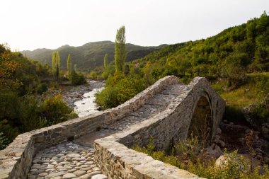 Dağ nehri boyunca büyük taşlarla döşenmiş güzel eğimli bir köprü.