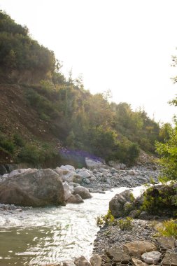 Taşların arasından akan bir dağ nehri dalgaları