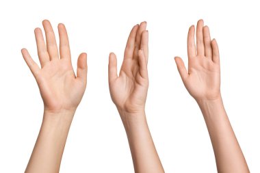 Boş bir arkaplanda farklı pozlarda duran kadın elleri.