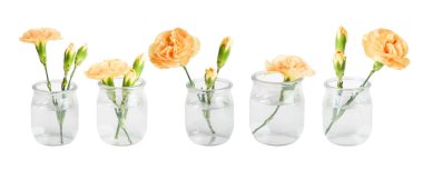 Küçük vazolarda ya da kavanozlarda sarı çiçekler. Boş bir arkaplanda