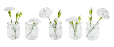 Küçük vazolarda ya da kavanozlarda beyaz çiçekler. Boş bir arkaplanda