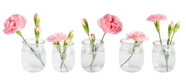 Küçük vazolarda ya da kavanozlarda pembe çiçekler. Boş bir arkaplanda