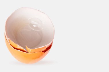 Hafif arkaplanda yumurta kabukları