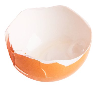 Boş arkaplanda kırık yumurta kabuğu