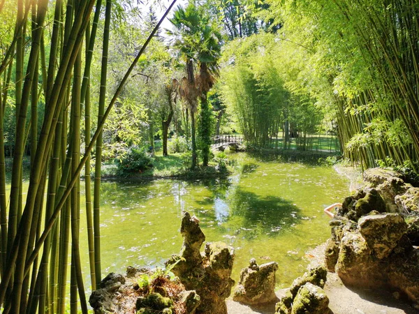 纳瓦拉Seoro Bertiz的日式花园 — 图库照片