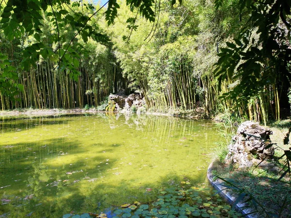 Jardín Estilo Japonés Seoro Bertiz Navarra — Foto de Stock