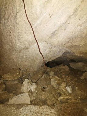 Meşe kökleri Urdax, Navarra mağarasında asılı.,