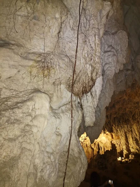 Ekrötter Som Hänger Inne Urdax Grotta Navarra — Stockfoto