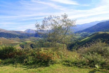Baztn Vadisi 'nin promosyon fotoğrafı, Comunidad Foral de Navarra' da yer alan bir vadi, üniversite ve İspanyol belediyesidir.,
