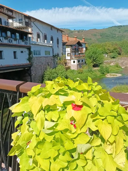 İspanya 'nın en güzel şehirlerinden biri olan Elizondo, Navarra' nın tanıtım fotoğrafı.,