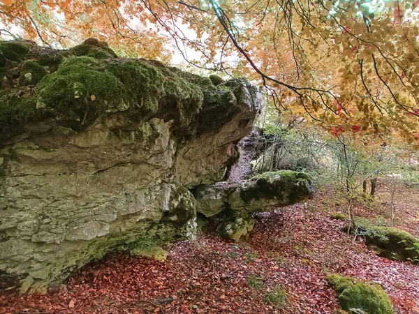 Kouzelný Les Buků Přírodním Parku Urbasa Andia Navarře — Stock fotografie